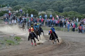 11800057_1174710279221986_6038837837906735069_n