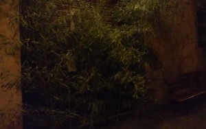 20150925_231813