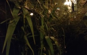 20150925_232159