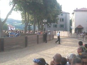 Foto0012