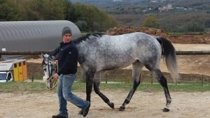 CRONO DA CLODIA