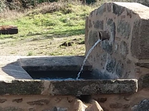 FONTANA