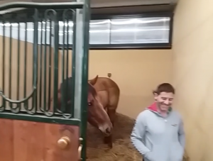 TRECCIOLINO