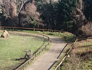 pista