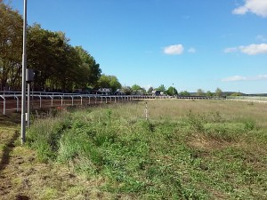 20160419_164653