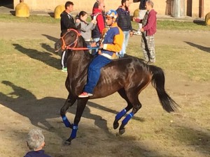 IMG-20160519-WA0003