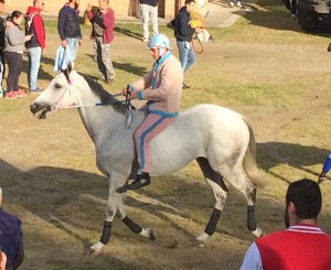 matato