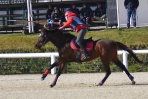 A Quadraccia
