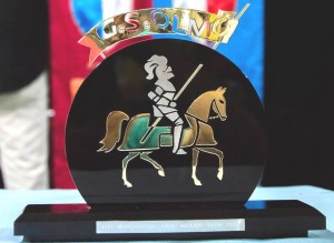 Giostra dei Rioni (5)