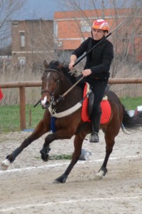 Olmo 1