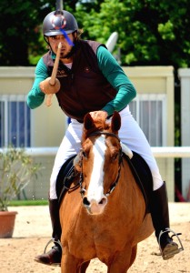 Olmo 5