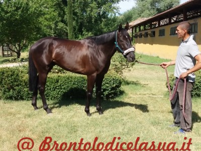 TIAGO BAIO