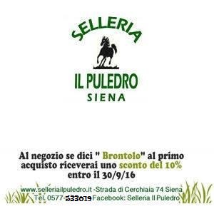 puledro