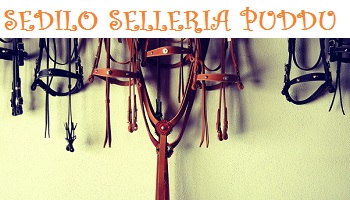 SELLERIA Puddu SEDILO