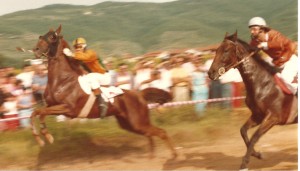 1982 - 3