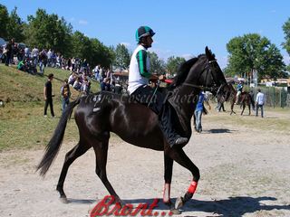 di stasio