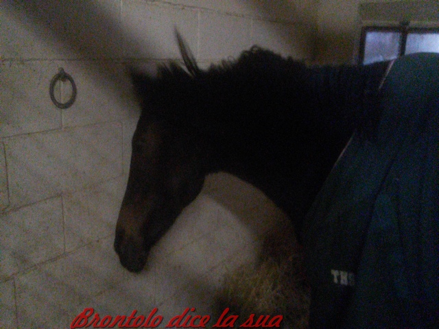 20171228_112904