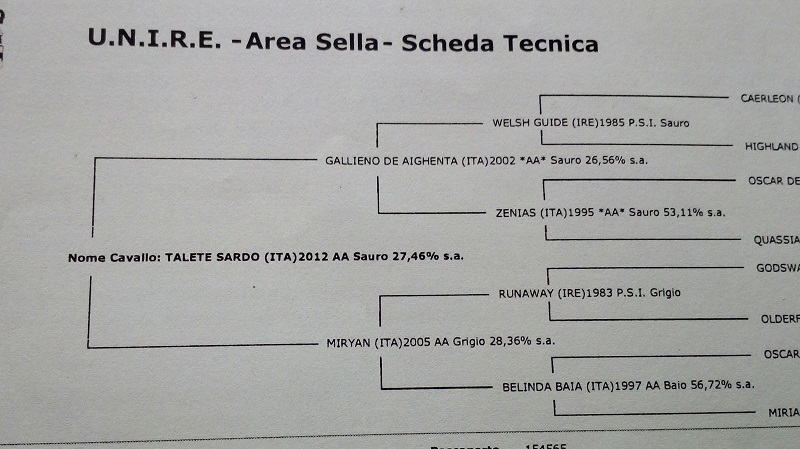 06f363f2-1f75-4b33-9fd8-93a7a5b55b6f