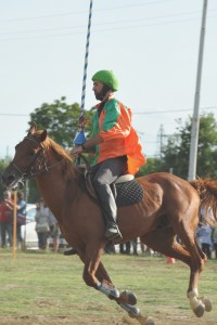 Cavalieri DSC_3817 (1)