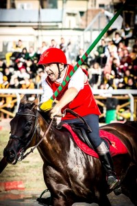 Cavalieri DSC_3817 (3)