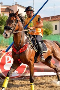 Cavalieri DSC_3817 (4)