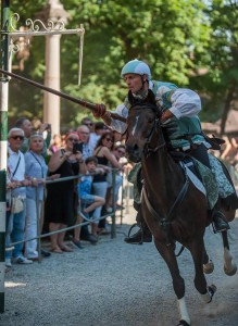 Cavalieri DSC_3817 (5)