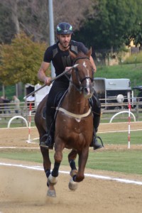 Cavalieri DSC_3817 (6)