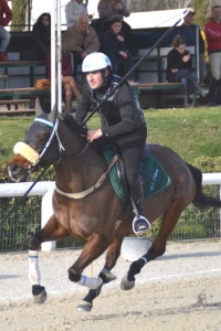 Cavalieri DSC_3817 (8)