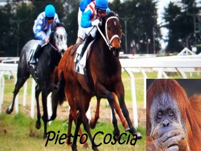 adone clodia