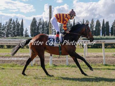 farfadet de pecos