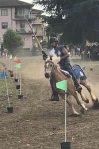 35553364_10211884284244356_277096201717809152_n