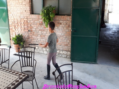 20180820_120421