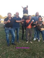 MEREU TIDOC piccolaORUNE 27-8-2018