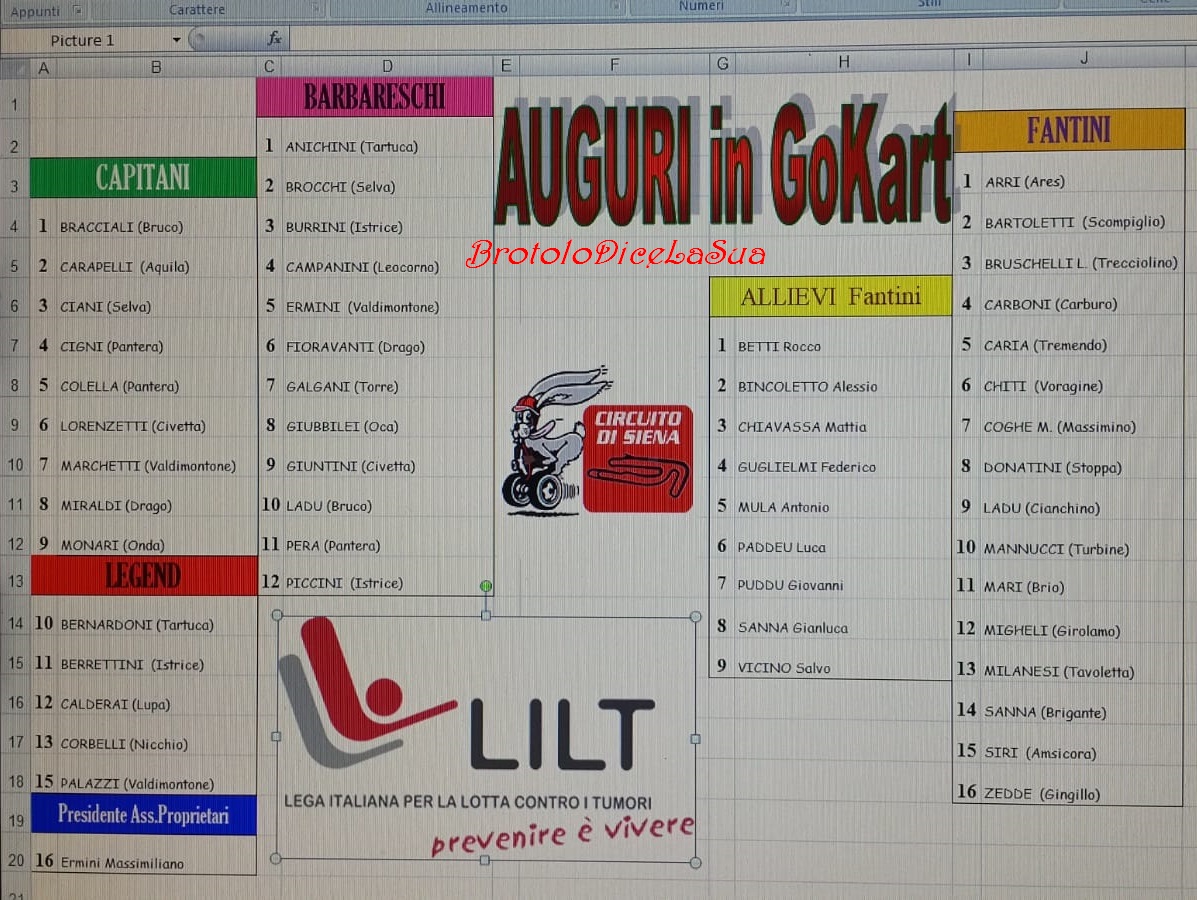 lista 2018 gokart 2019