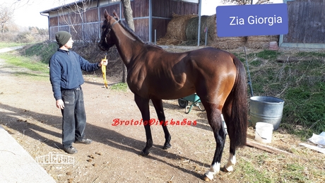 Zia Giorgia gulielmi 2019 piccola