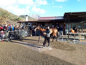 umatilla buti 2019