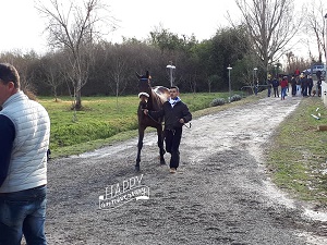 violenta da clodia buti 2019