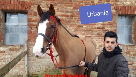 URBANIA 2019