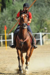cavalieri e amazzoni 2019 (11)