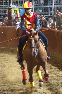 cavalieri e amazzoni 2019 (6)