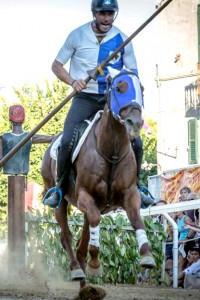 cavalieri e amazzoni 2019 (9)
